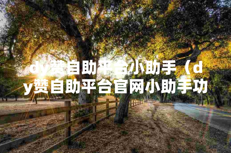 dy赞自助平台小助手（dy赞自助平台官网小助手功能优化解析）
