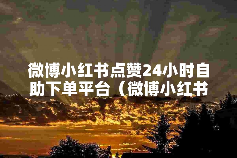 微博小红书点赞24小时自助下单平台（微博小红书24小时点赞快速购买通道）