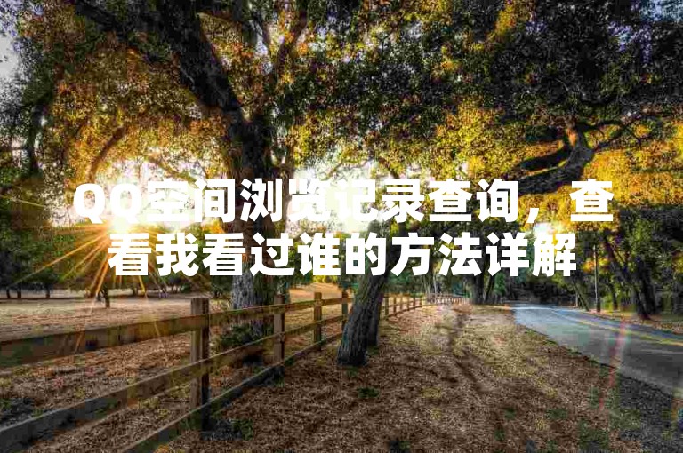 QQ空间浏览记录查询，查看我看过谁的方法详解
