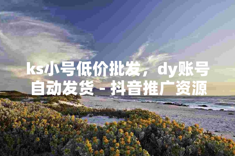 ks小号低价批发，dy账号自动发货 - 抖音推广资源平台 - 抖音号交易平台