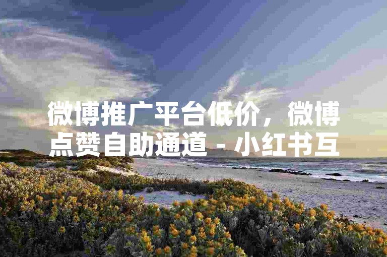 微博推广平台低价，微博点赞自助通道 - 小红书互动平台xs下单 - 稳定 - 小红书增粉网站 - 0.1 元，星辰传媒有限公司深度剖析