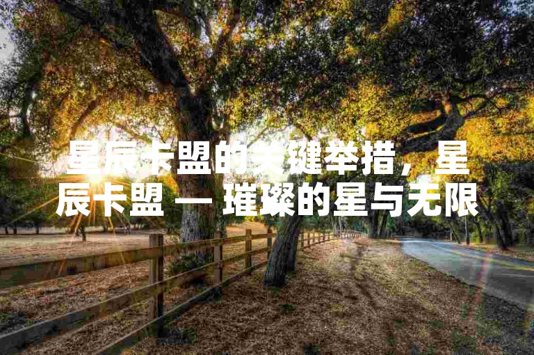 星辰卡盟的关键举措，星辰卡盟 — 璀璨的星与无限可能的联盟！新手必看！