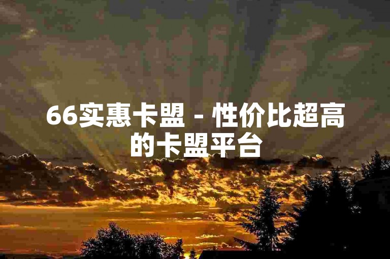66实惠卡盟 - 性价比超高的卡盟平台