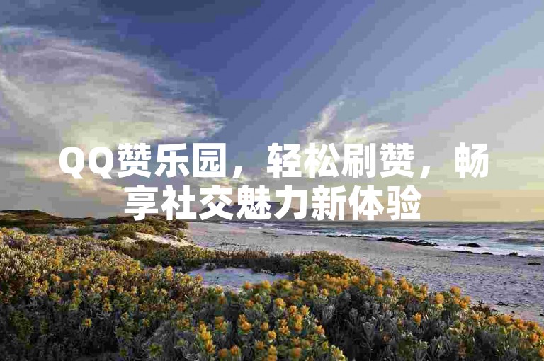 QQ赞乐园，轻松刷赞，畅享社交魅力新体验