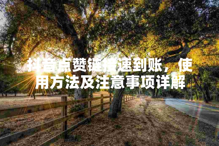 抖音点赞链接速到账，使用方法及注意事项详解