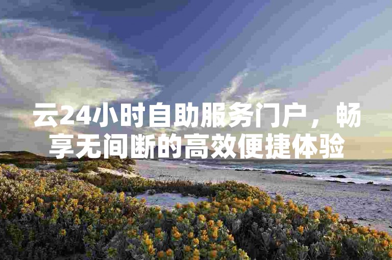 云24小时自助服务门户，畅享无间断的高效便捷体验
