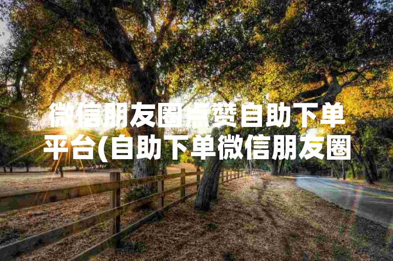 微信朋友圈点赞自助下单平台(自助下单微信朋友圈点赞)
