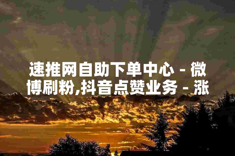 速推网自助下单中心 - 微博刷粉,抖音点赞业务 - 涨粉助力平台
