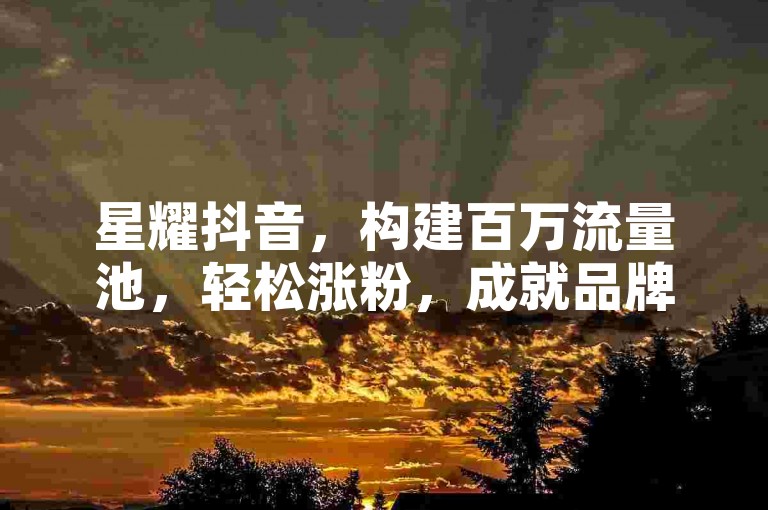 星耀抖音，构建百万流量池，轻松涨粉，成就品牌营销巅峰之选