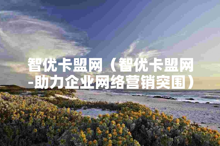 智优卡盟网（智优卡盟网-助力企业网络营销突围）
