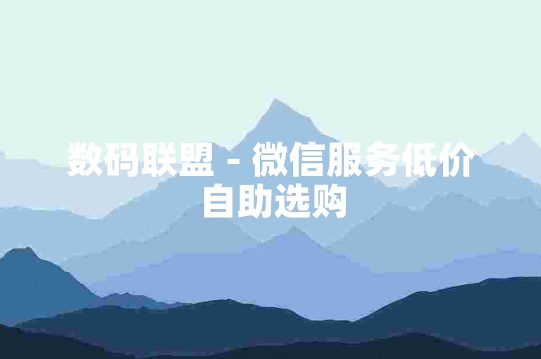 数码联盟 - 微信服务低价自助选购