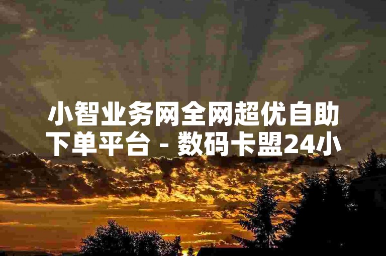 小智业务网全网超优自助下单平台 - 数码卡盟24小时便捷下单平台