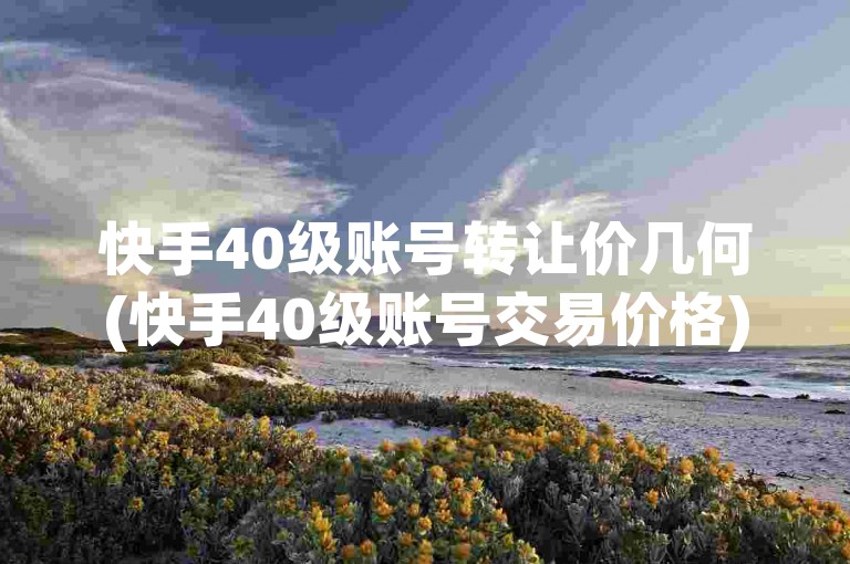 快手40级账号转让价几何(快手40级账号交易价格)