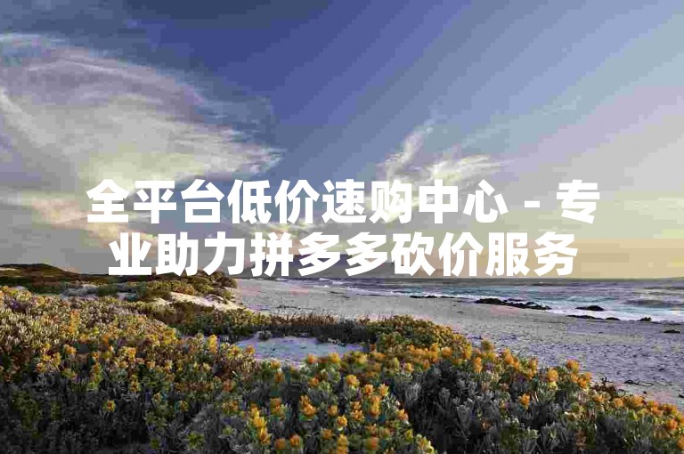 全平台低价速购中心 - 专业助力拼多多砍价服务