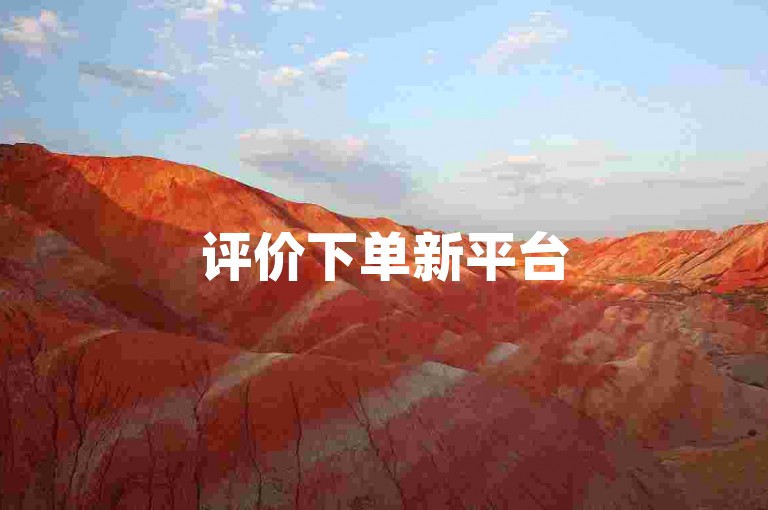 评价下单新平台