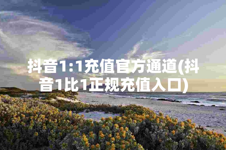 抖音1:1充值官方通道(抖音1比1正规充值入口)