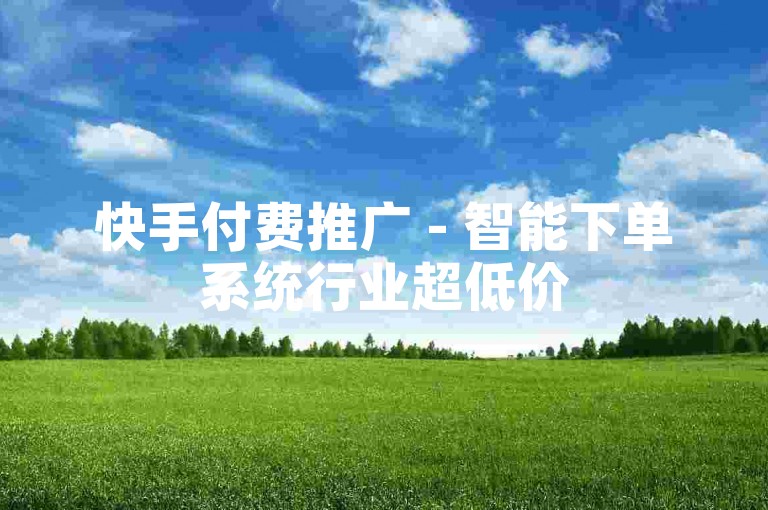 快手付费推广 - 智能下单系统行业超低价