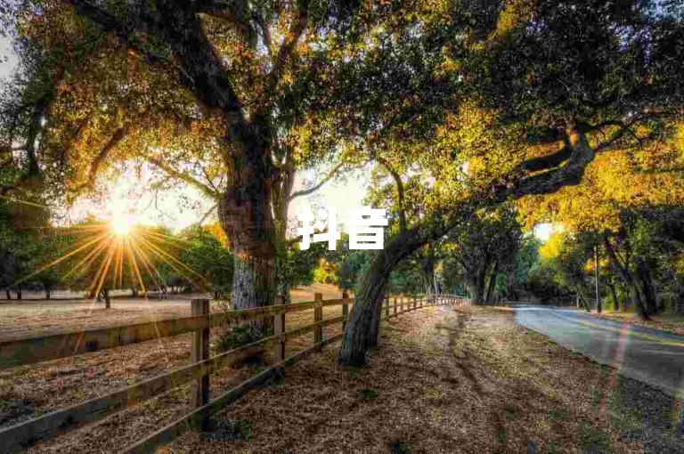 抖音5元2000赞 - 微博账号加粉丝