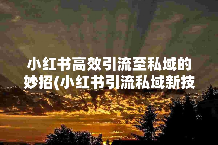 小红书高效引流至私域的妙招(小红书引流私域新技巧)