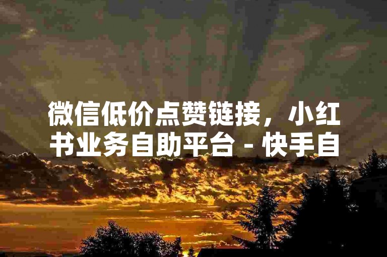 微信低价点赞链接，小红书业务自助平台 - 快手自助下单超低价 - 智能辅助资源网