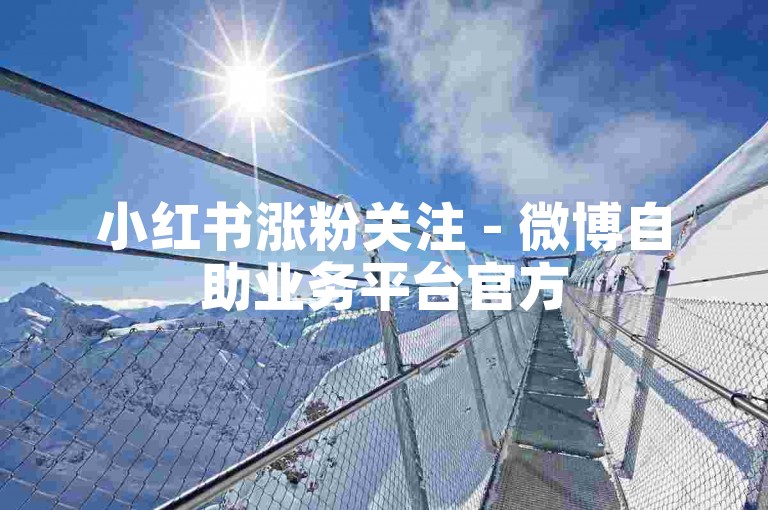 小红书涨粉关注 - 微博自助业务平台官方