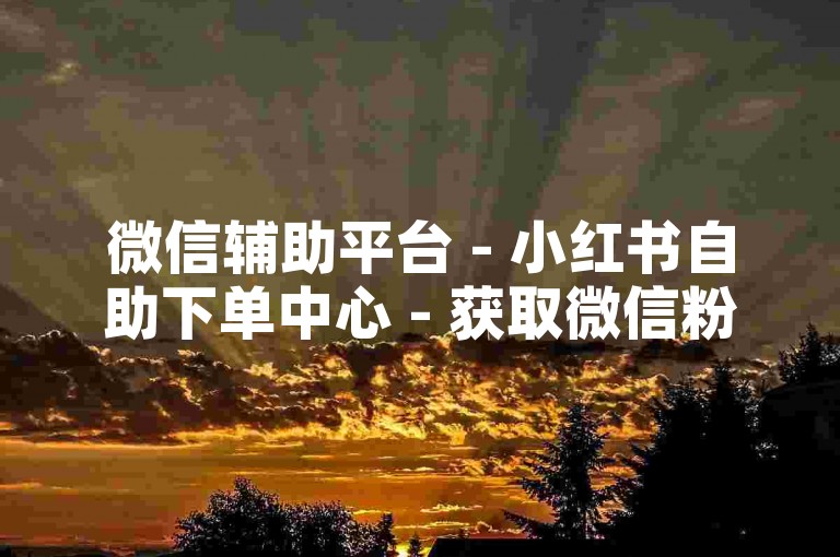 微信辅助平台 - 小红书自助下单中心 - 获取微信粉丝途径