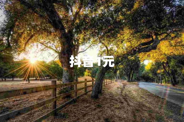 抖音1元500粉QQ - 自助购买平台抖粉站点优惠