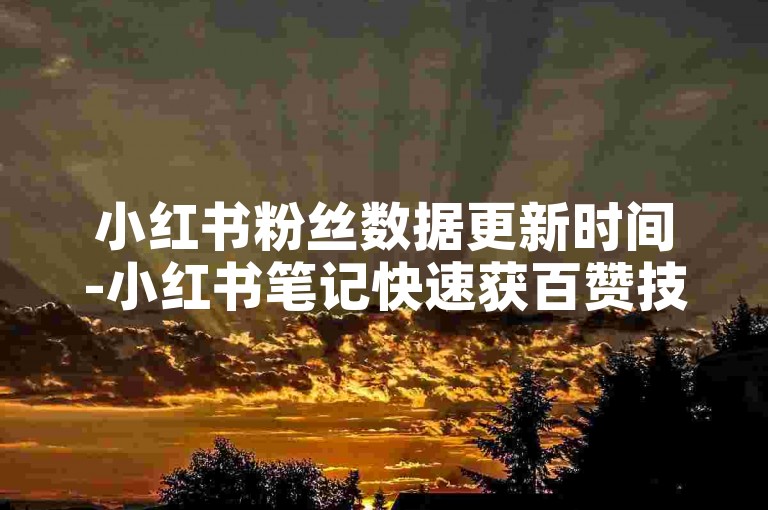 小红书粉丝数据更新时间-小红书笔记快速获百赞技巧