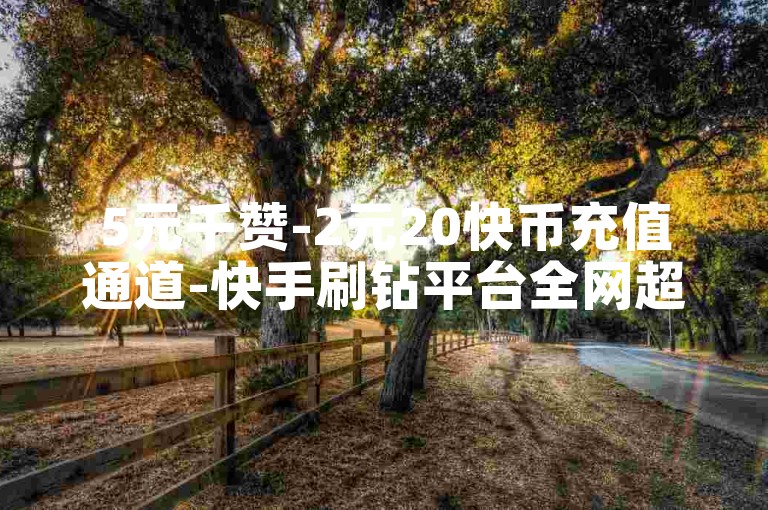 5元千赞-2元20快币充值通道-快手刷钻平台全网超低价-2元80赞最低价