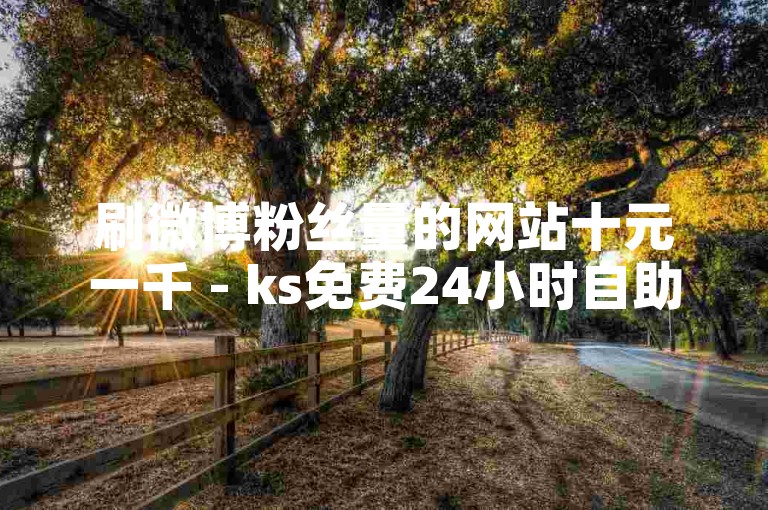 刷微博粉丝量的网站十元一千 - ks免费24小时自助下单平台-微博黄V认证服务全解析