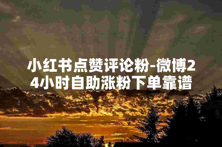小红书点赞评论粉-微博24小时自助涨粉下单靠谱