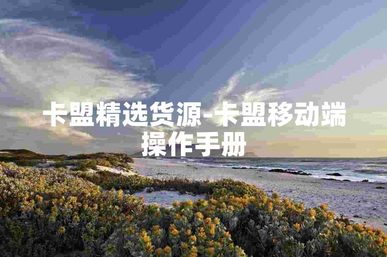 卡盟精选货源-卡盟移动端操作手册