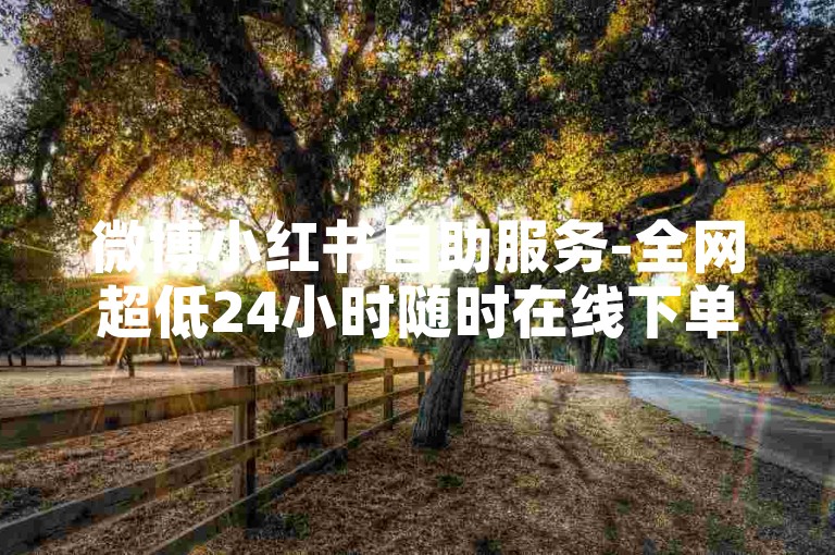微博小红书自助服务-全网超低24小时随时在线下单