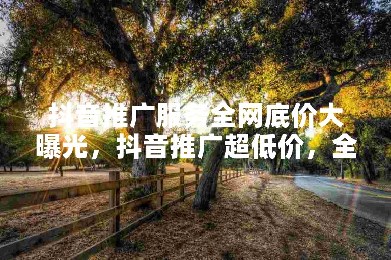 抖音推广服务全网底价大曝光，抖音推广超低价，全网难寻！！2024必抢