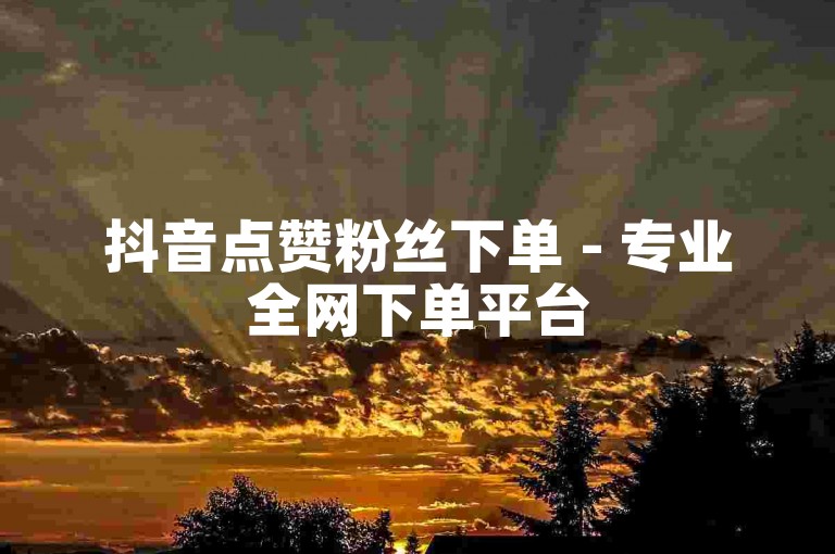 抖音点赞粉丝下单 - 专业全网下单平台