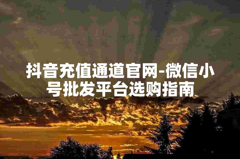 抖音充值通道官网-微信小号批发平台选购指南