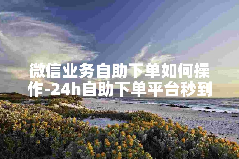 微信业务自助下单如何操作-24h自助下单平台秒到 - 微信24小时自助下单平台 - 微信秒赞10