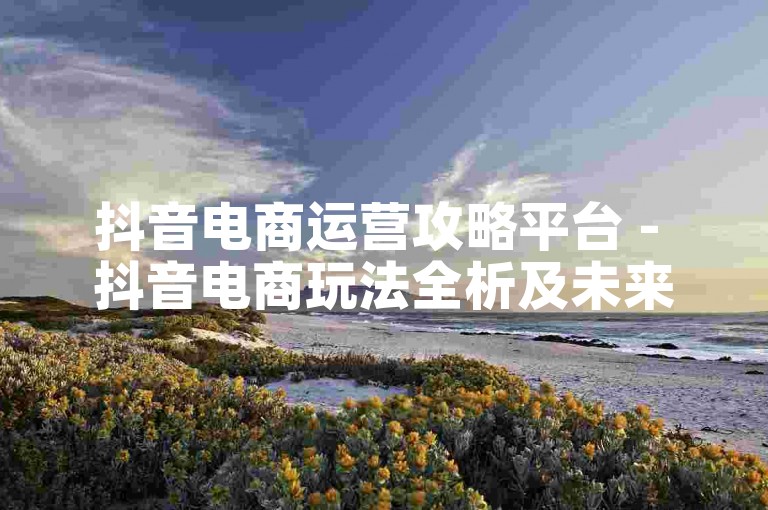抖音电商运营攻略平台 - 抖音电商玩法全析及未来走向探究