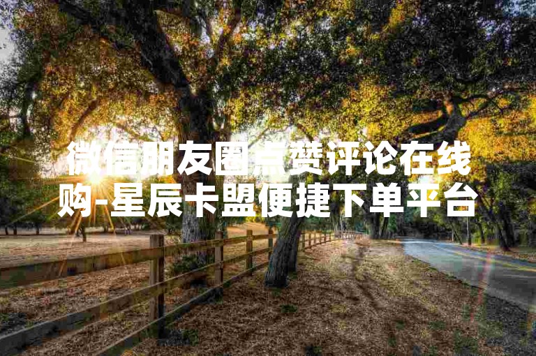微信朋友圈点赞评论在线购-星辰卡盟便捷下单平台