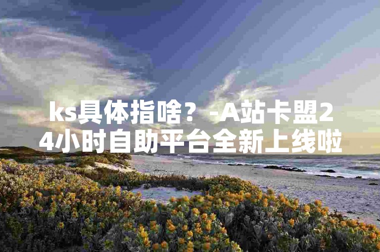 ks具体指啥？-A站卡盟24小时自助平台全新上线啦！