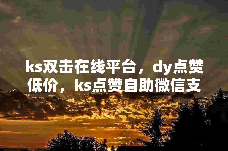ks双击在线平台，dy点赞低价，ks点赞自助微信支付无忧