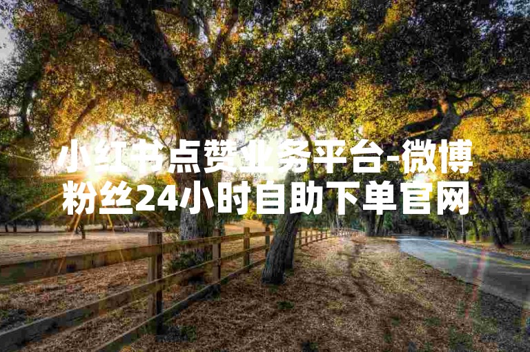 小红书点赞业务平台-微博粉丝24小时自助下单官网