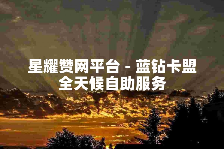 星耀赞网平台 - 蓝钻卡盟全天候自助服务