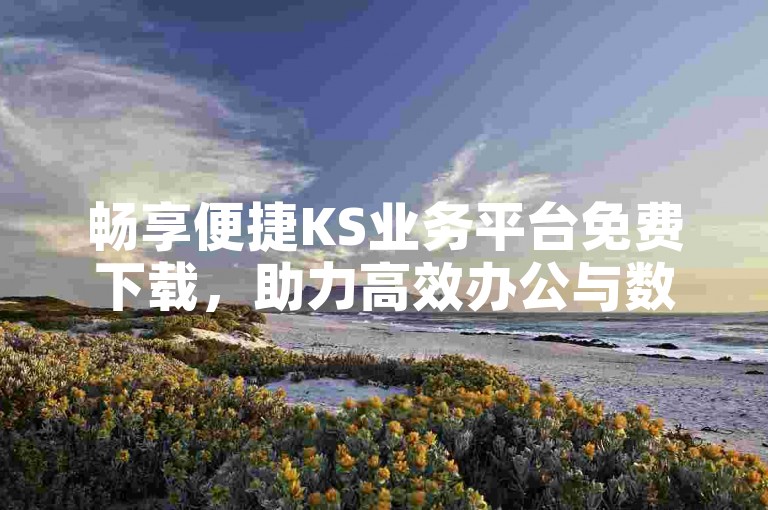 畅享便捷KS业务平台免费下载，助力高效办公与数据协同新飞跃