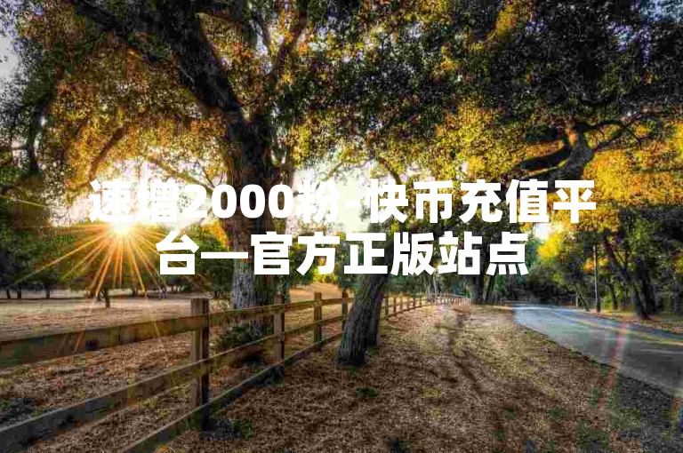 速增2000粉-快币充值平台—官方正版站点