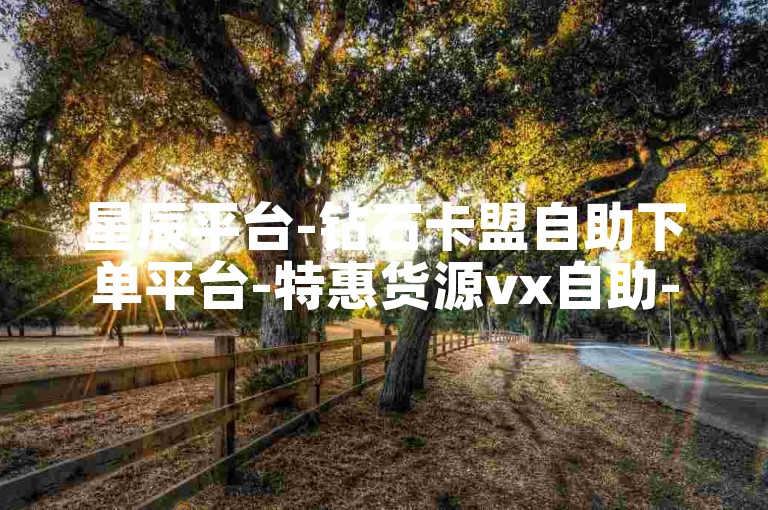 星辰平台-钻石卡盟自助下单平台-特惠货源vx自助-星澜业务网超低价下单