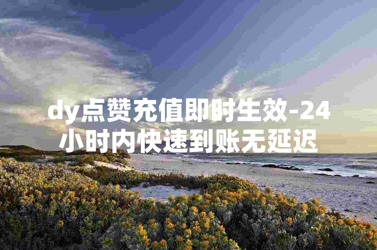 dy点赞充值即时生效-24小时内快速到账无延迟