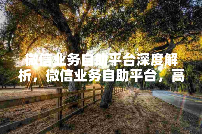 微信业务自助平台深度解析，微信业务自助平台，高效功能随心掌控！2025必备