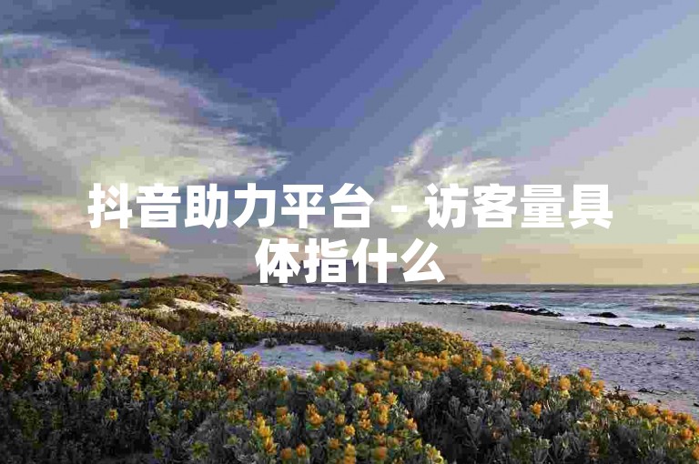 抖音助力平台 - 访客量具体指什么