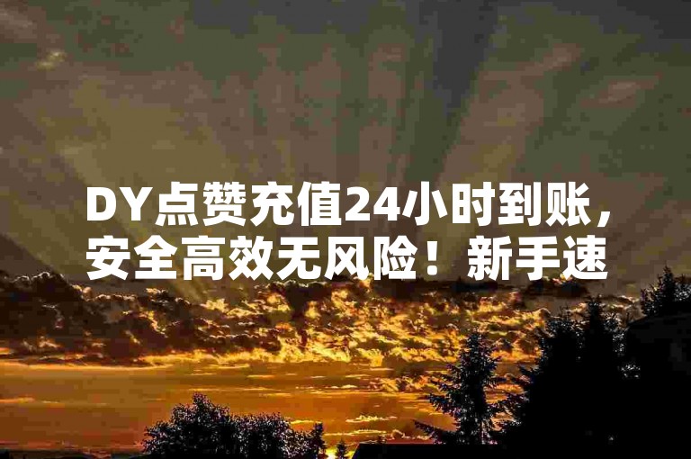 DY点赞充值24小时到账，安全高效无风险！新手速看！